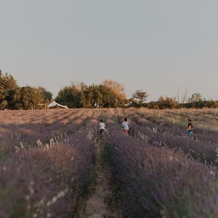 Terre Ugo - Campagne Aixoise #6